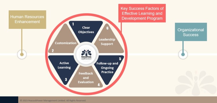 a-critical-component-of-org-success – PeacockPower Management Limited